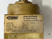 Hema-Hydraulik HZ180-013-25/18-19-DBG Hydraulic Cylinder – 180 Bar